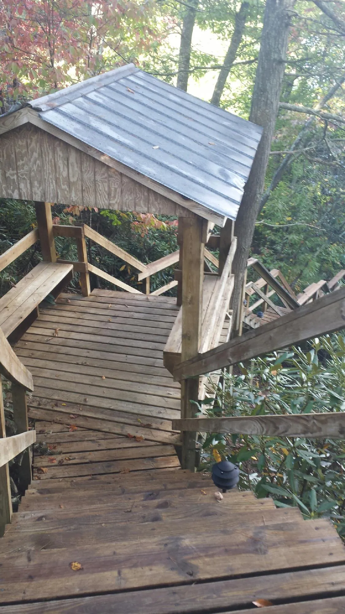 Metal roofed shelter over wooden steps on a wooded walkway — Skylight Repair & Installation work by our crew in Canehill